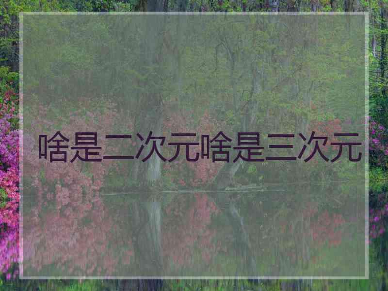 啥是二次元啥是三次元