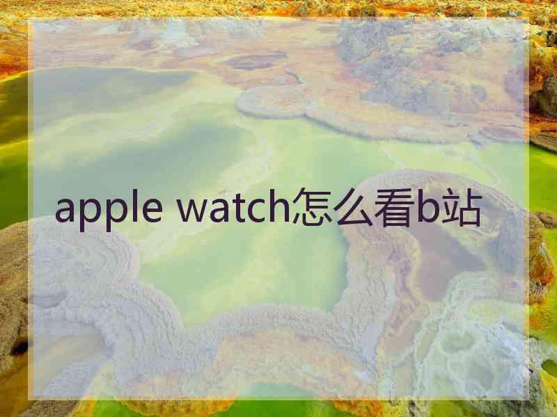 apple watch怎么看b站