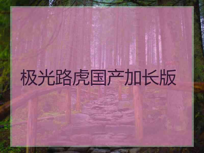 极光路虎国产加长版