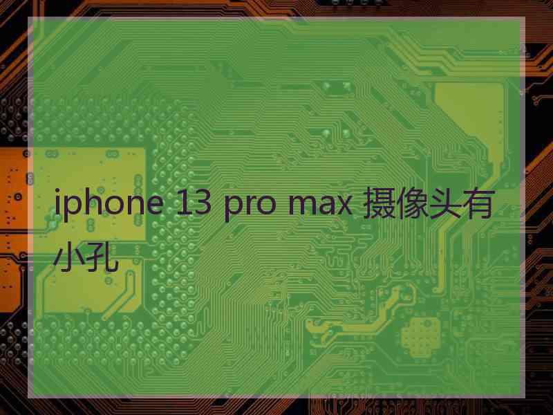 iphone 13 pro max 摄像头有小孔