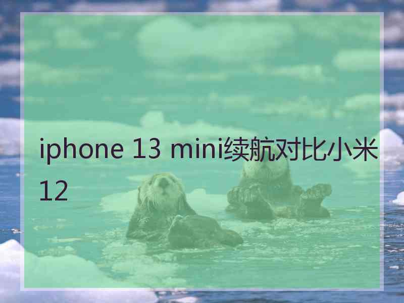 iphone 13 mini续航对比小米12