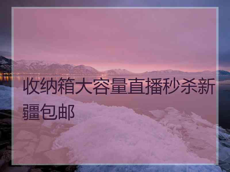 收纳箱大容量直播秒杀新疆包邮