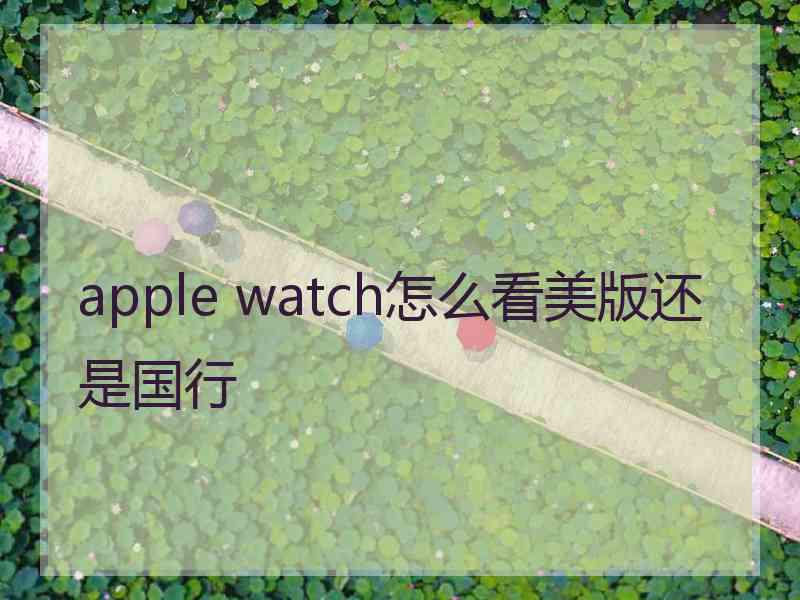 apple watch怎么看美版还是国行