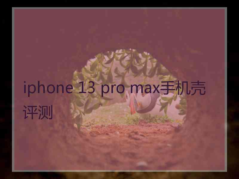 iphone 13 pro max手机壳评测