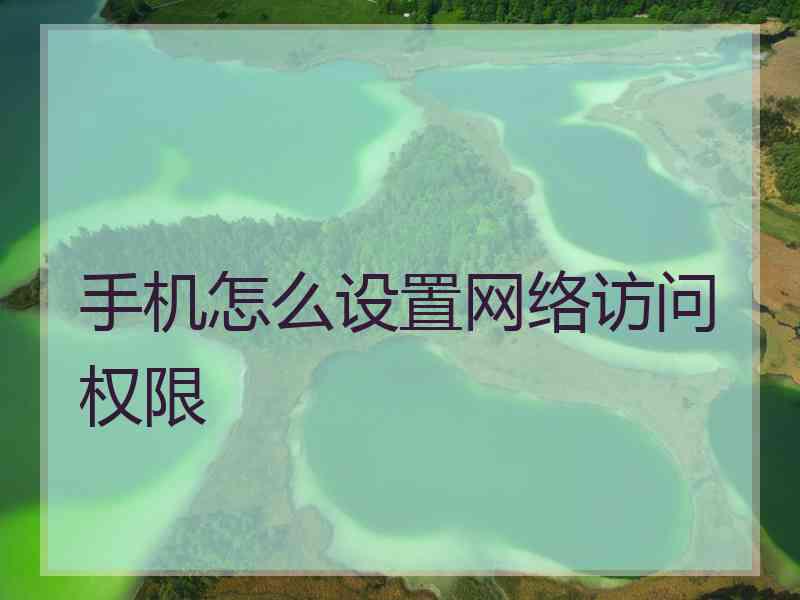 手机怎么设置网络访问权限