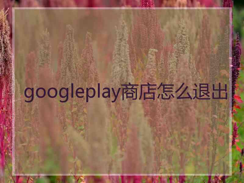googleplay商店怎么退出