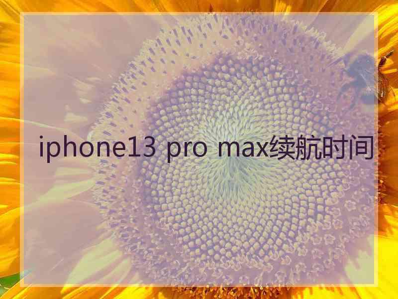 iphone13 pro max续航时间