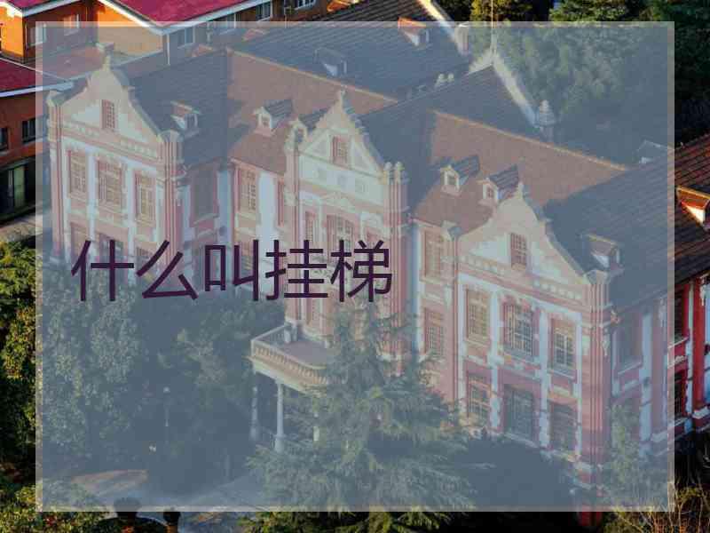 什么叫挂梯