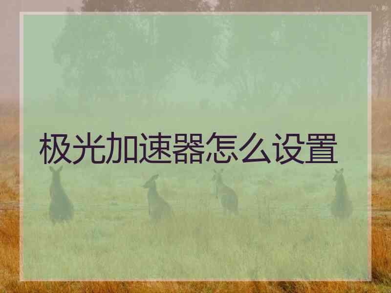 极光加速器怎么设置