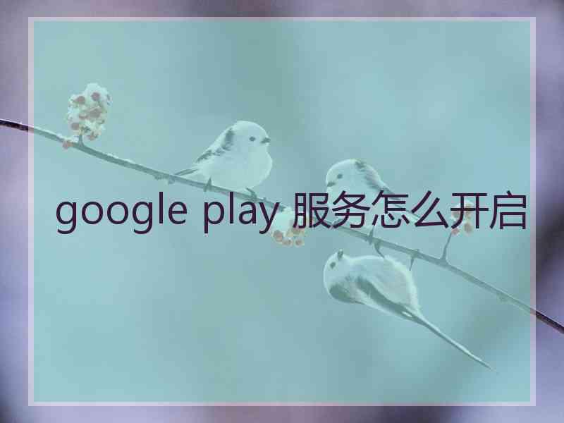 google play 服务怎么开启