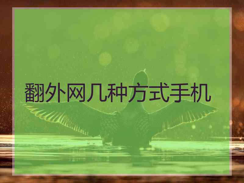 翻外网几种方式手机