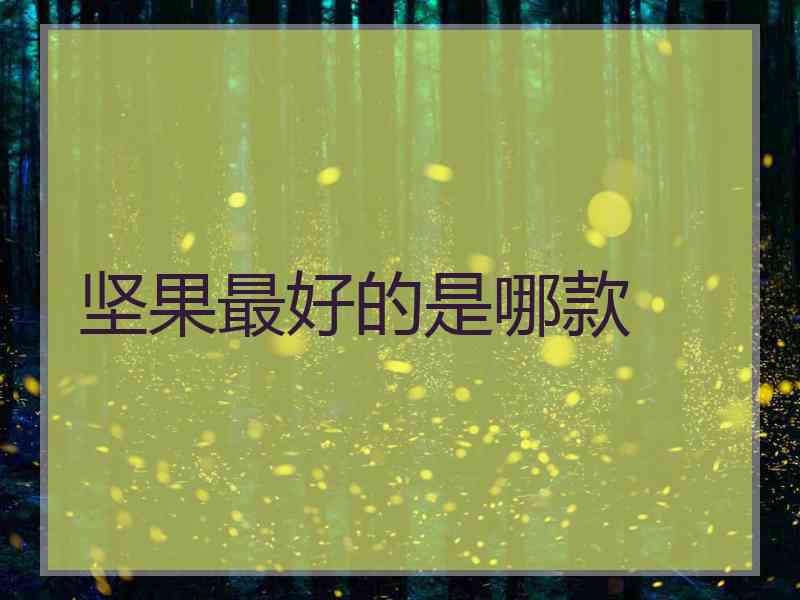 坚果最好的是哪款