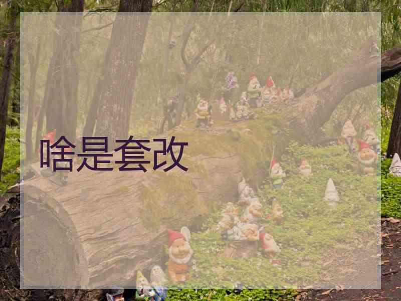 啥是套改