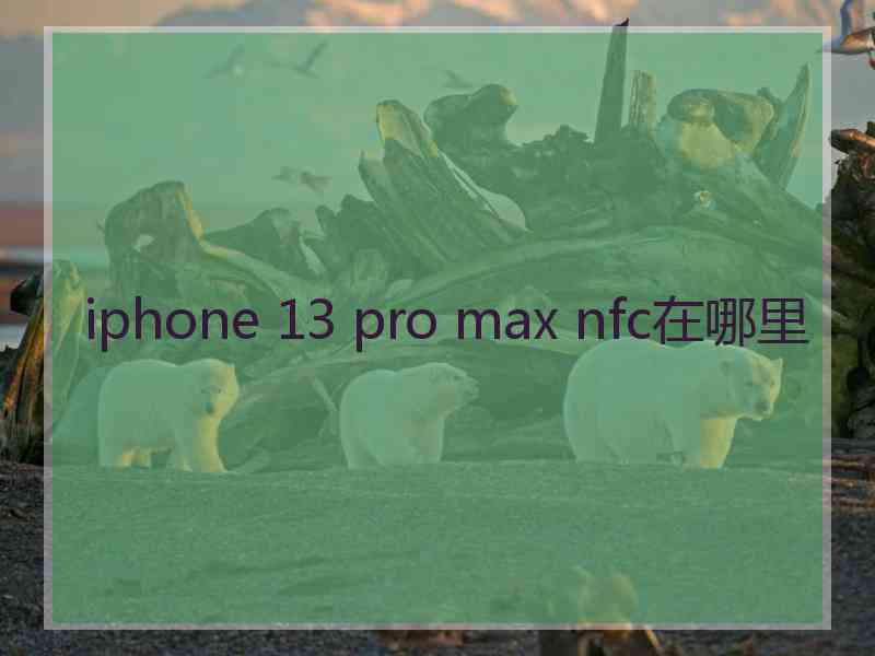 iphone 13 pro max nfc在哪里