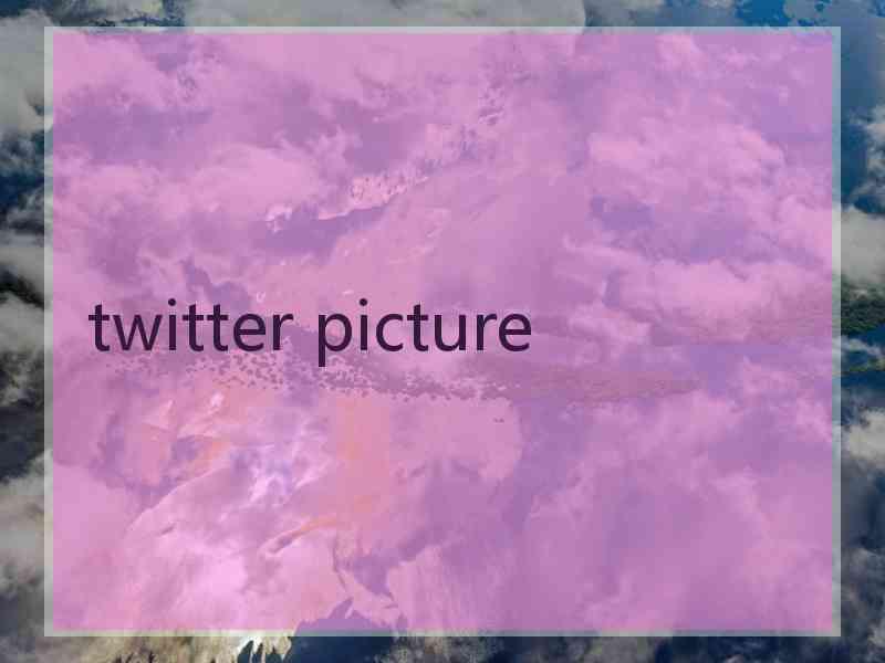 twitter picture