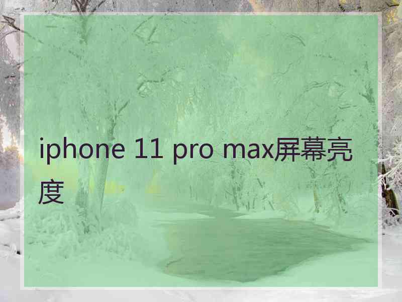 iphone 11 pro max屏幕亮度