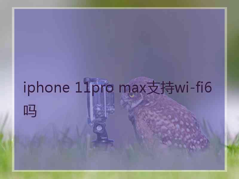 iphone 11pro max支持wi-fi6吗