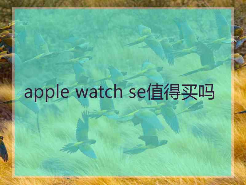 apple watch se值得买吗