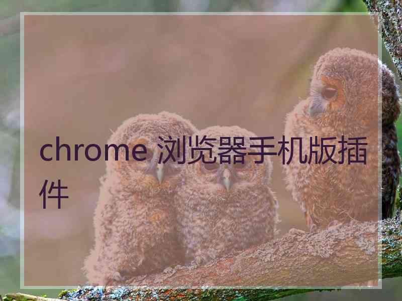 chrome 浏览器手机版插件