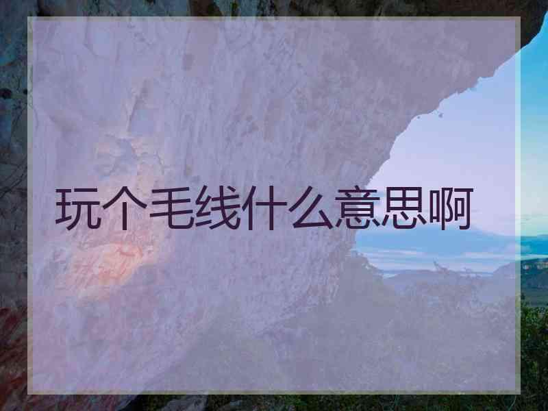 玩个毛线什么意思啊