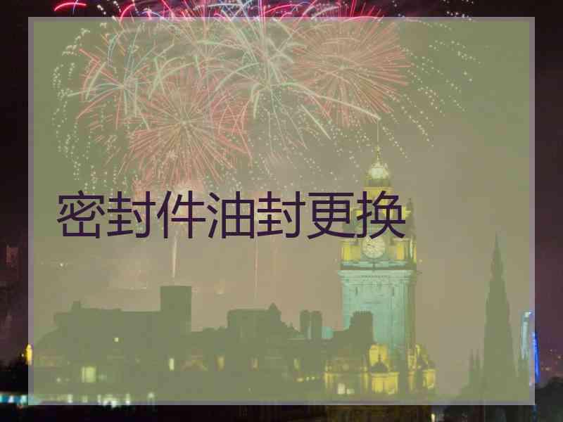 密封件油封更换