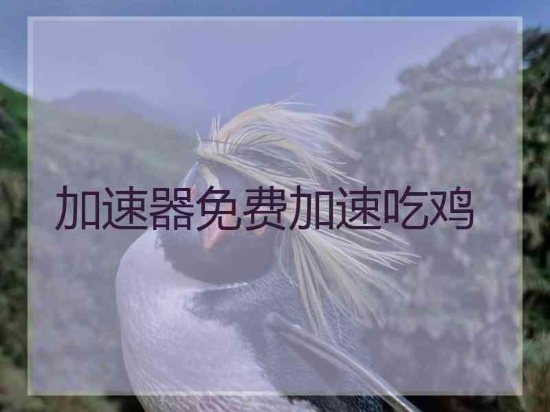 加速器免费加速吃鸡