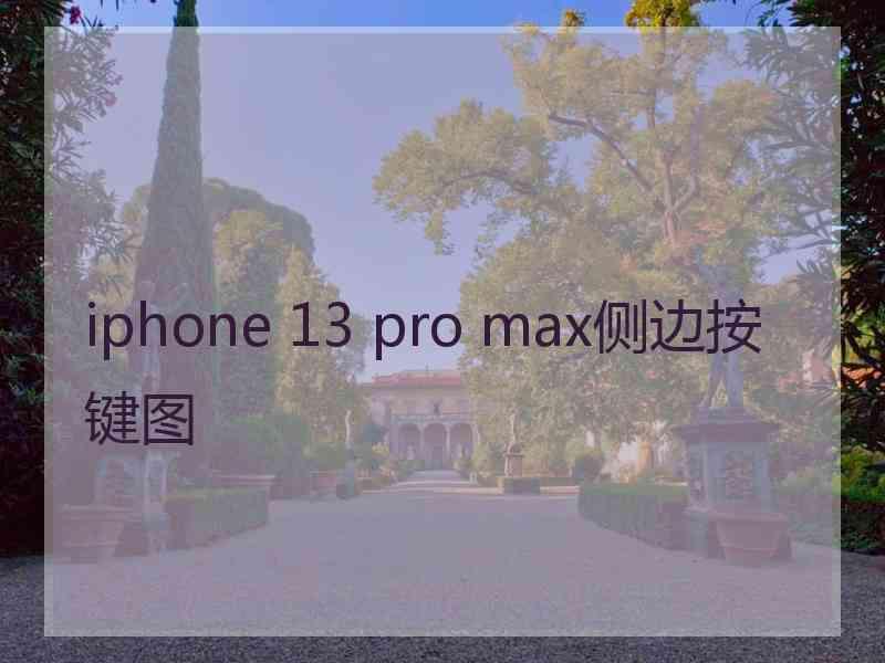 iphone 13 pro max侧边按键图
