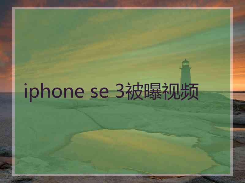iphone se 3被曝视频