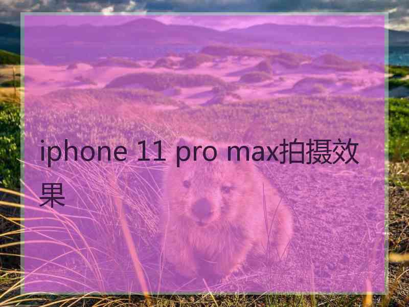 iphone 11 pro max拍摄效果