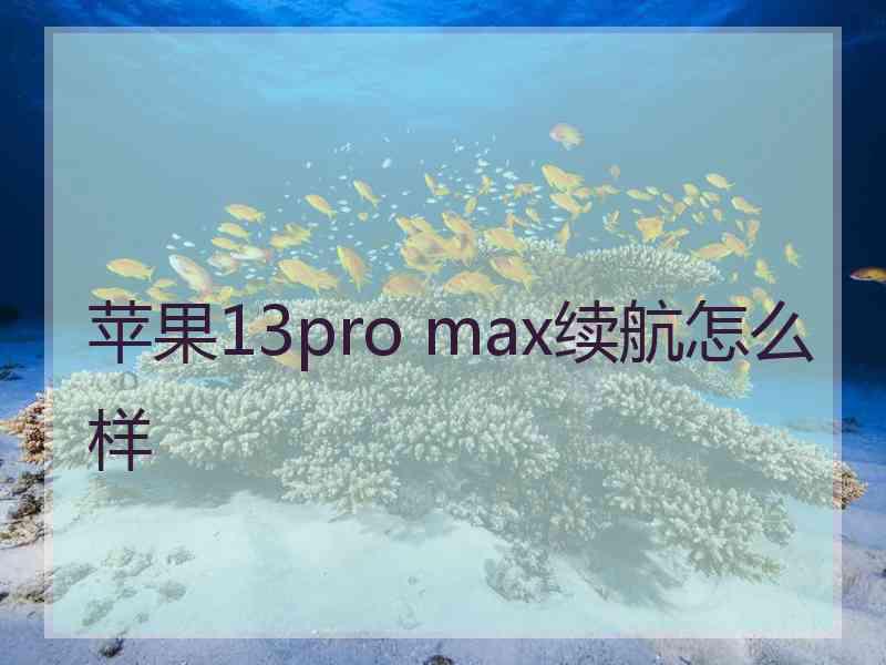苹果13pro max续航怎么样
