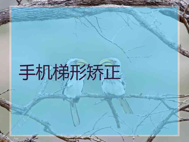 手机梯形矫正