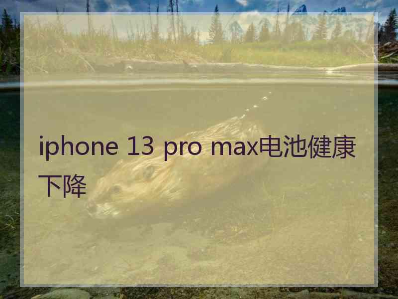 iphone 13 pro max电池健康下降
