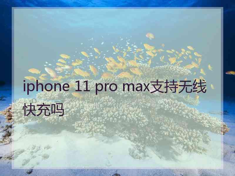 iphone 11 pro max支持无线快充吗