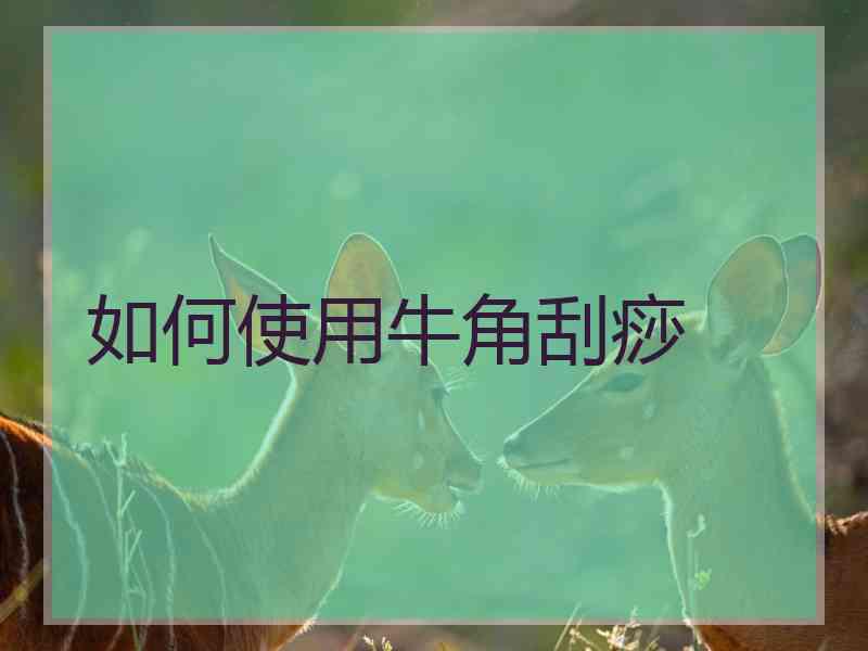 如何使用牛角刮痧