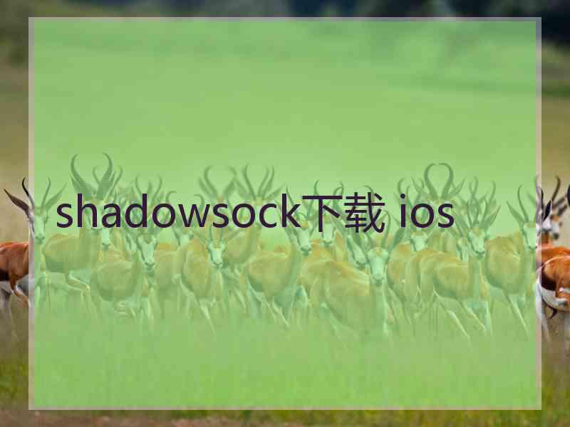 shadowsock下载 ios