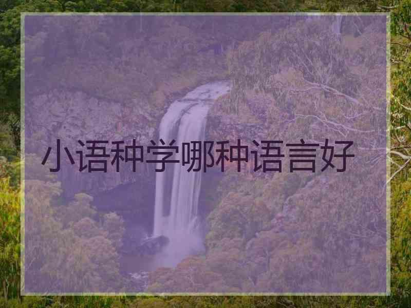 小语种学哪种语言好