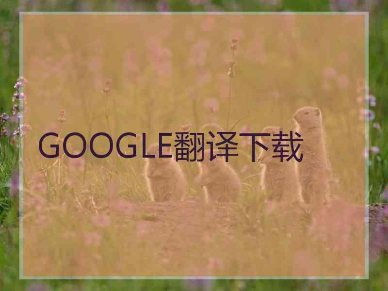 GOOGLE翻译下载