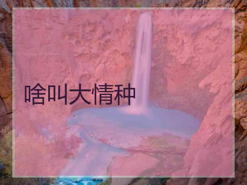 啥叫大情种