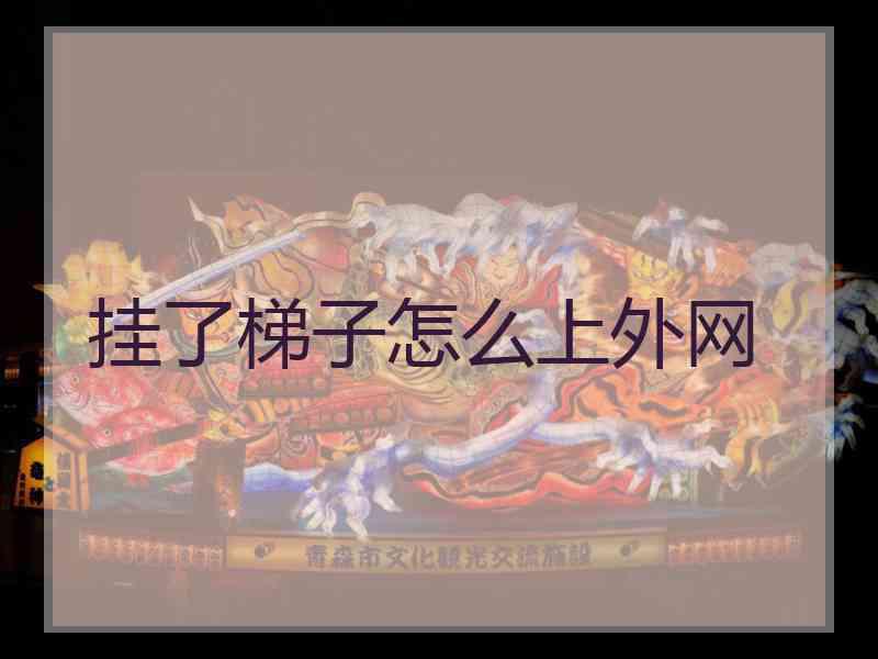 挂了梯子怎么上外网