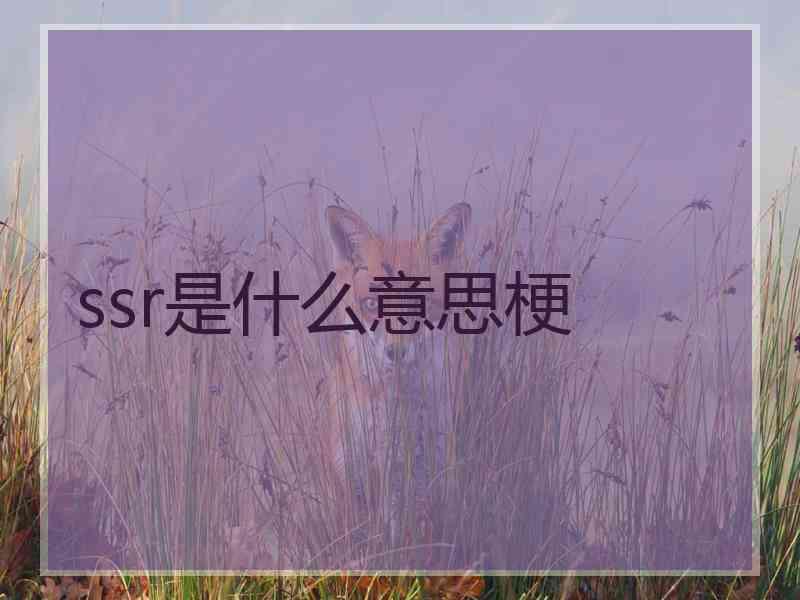 ssr是什么意思梗