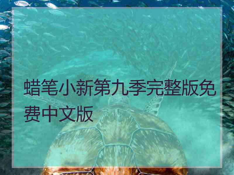 蜡笔小新第九季完整版免费中文版
