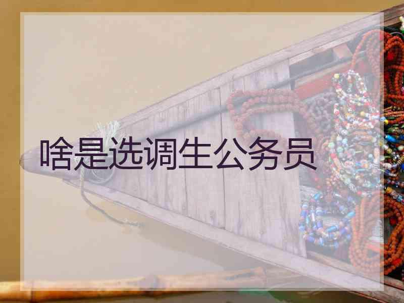 啥是选调生公务员