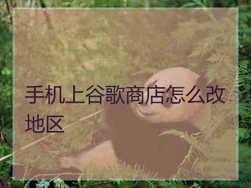 手机上谷歌商店怎么改地区