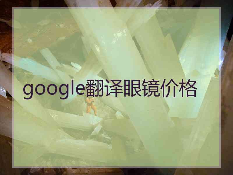 google翻译眼镜价格