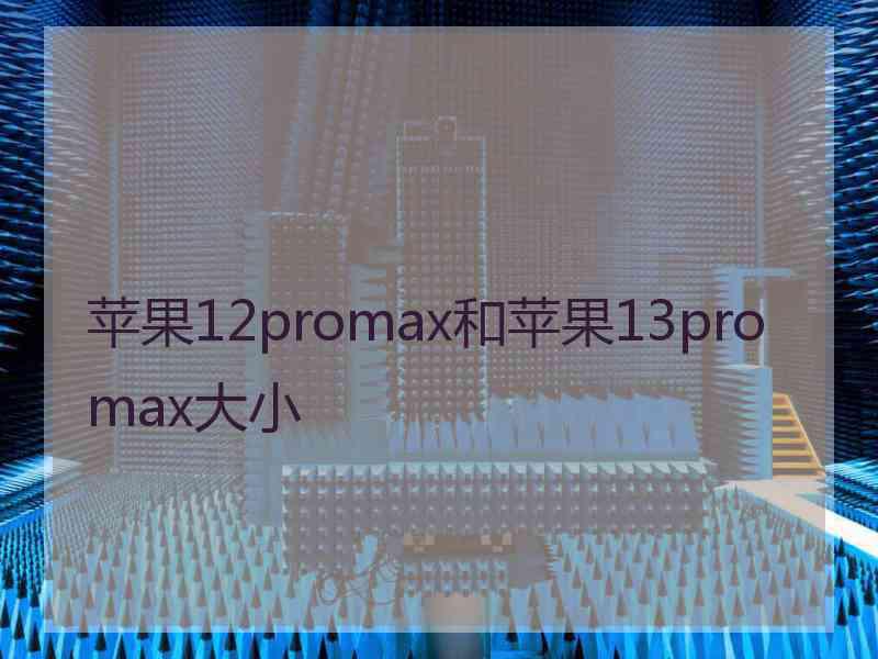 苹果12promax和苹果13promax大小
