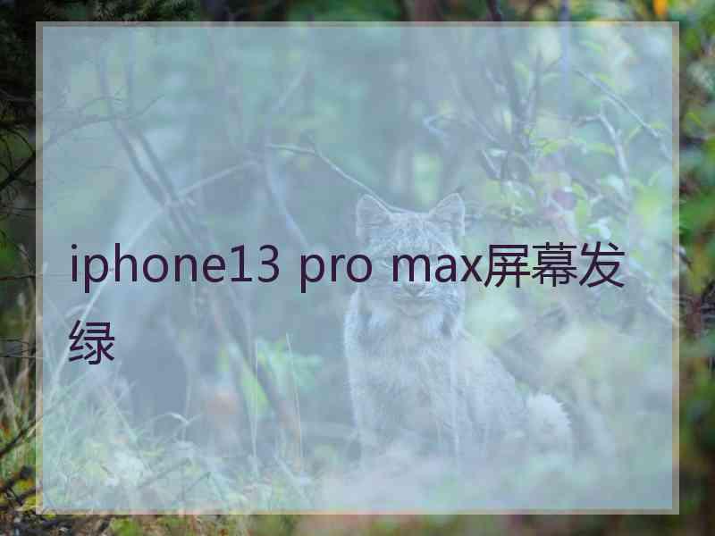 iphone13 pro max屏幕发绿
