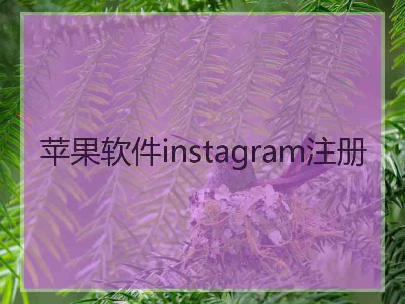 苹果软件instagram注册