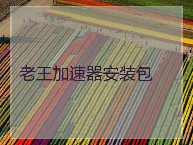 老王加速器安装包