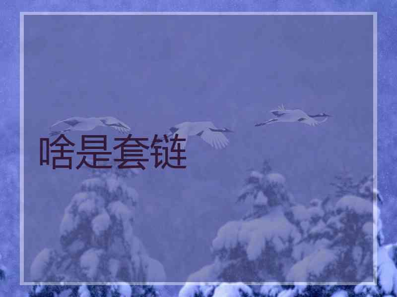 啥是套链
