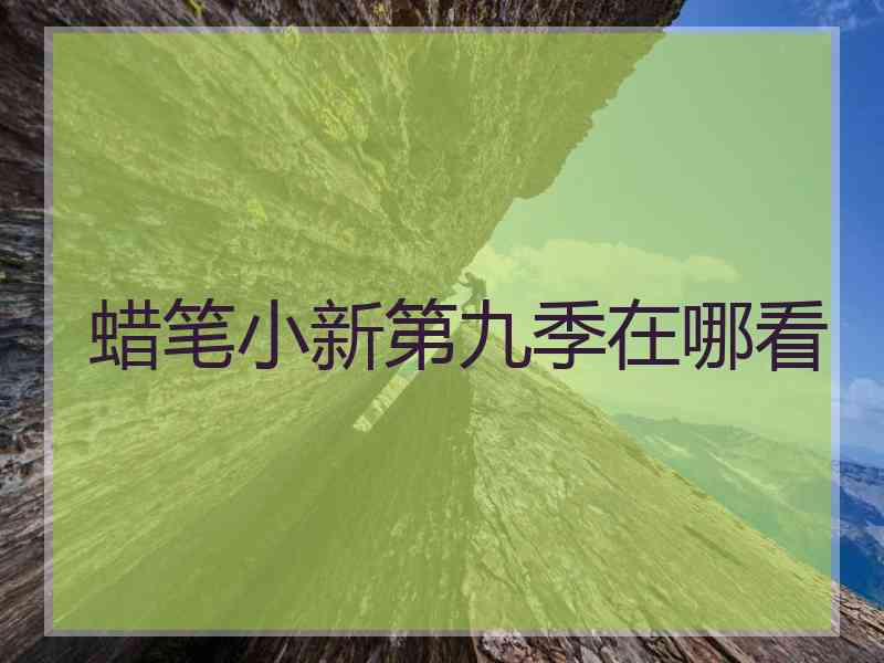 蜡笔小新第九季在哪看